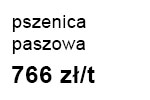 pszenicaPasz