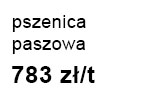pszenicaPasz