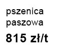 pszenicaPasz