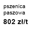 pszenicaPasz