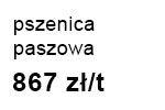 pszenicaPasz