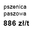 pszenicaPasz