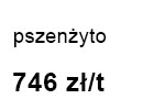 pszenżyto