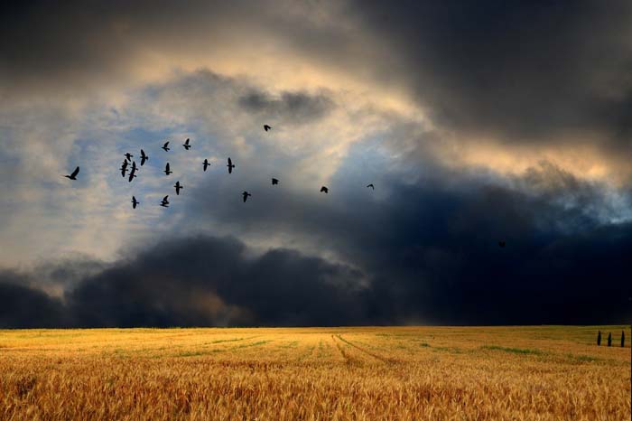 Skutki Zmian Klimatu Będą Dla Rolnictwa Katastrofalne - AgroNews ...