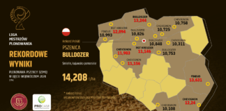 Jak plonowały pszenice w Lidze Mistrzów Plonowania 2024?