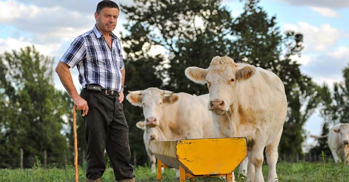 ARiMR, PROW, przekazanie gospodarstwa, Płatności na rzecz rolników kwalifikujących się do systemu dla małych gospodarstw, system dla małych gospodarstw
