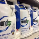 Bayer musi zapłacić 78 milionów dolarów odszkodowania za Roundup. Firma nie zgadza się z wyrokiem