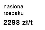 rzepak