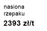 rzepak