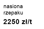 rzepak
