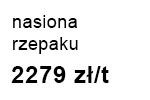 rzepak