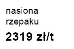 rzepak