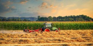 Podsumowanie ostatnich wydarzeń w rolnictwie i agrobiznesie(10.10.- 14.10.2022)