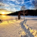 Przed nami atak zimy: Śnieżyce i mróz