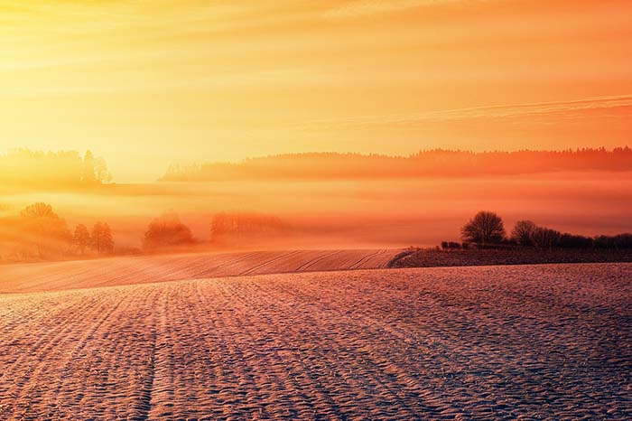 Zarządzanie glebami rolniczymi kluczowym aspektem walki ze zmianami klimatu