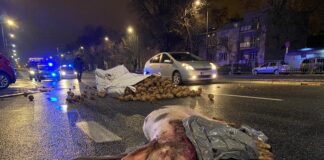 Świńskie łby, jaja i kapusta pod domem Jarosława Kaczyńskiego