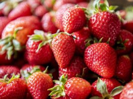 Tyle kosztuje pierwszy smak lata. Polskie truskawki biją cenowe rekordy