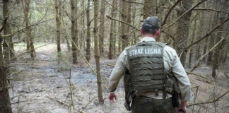 Już wiadomo, kto wylewał nieczystości do lasu