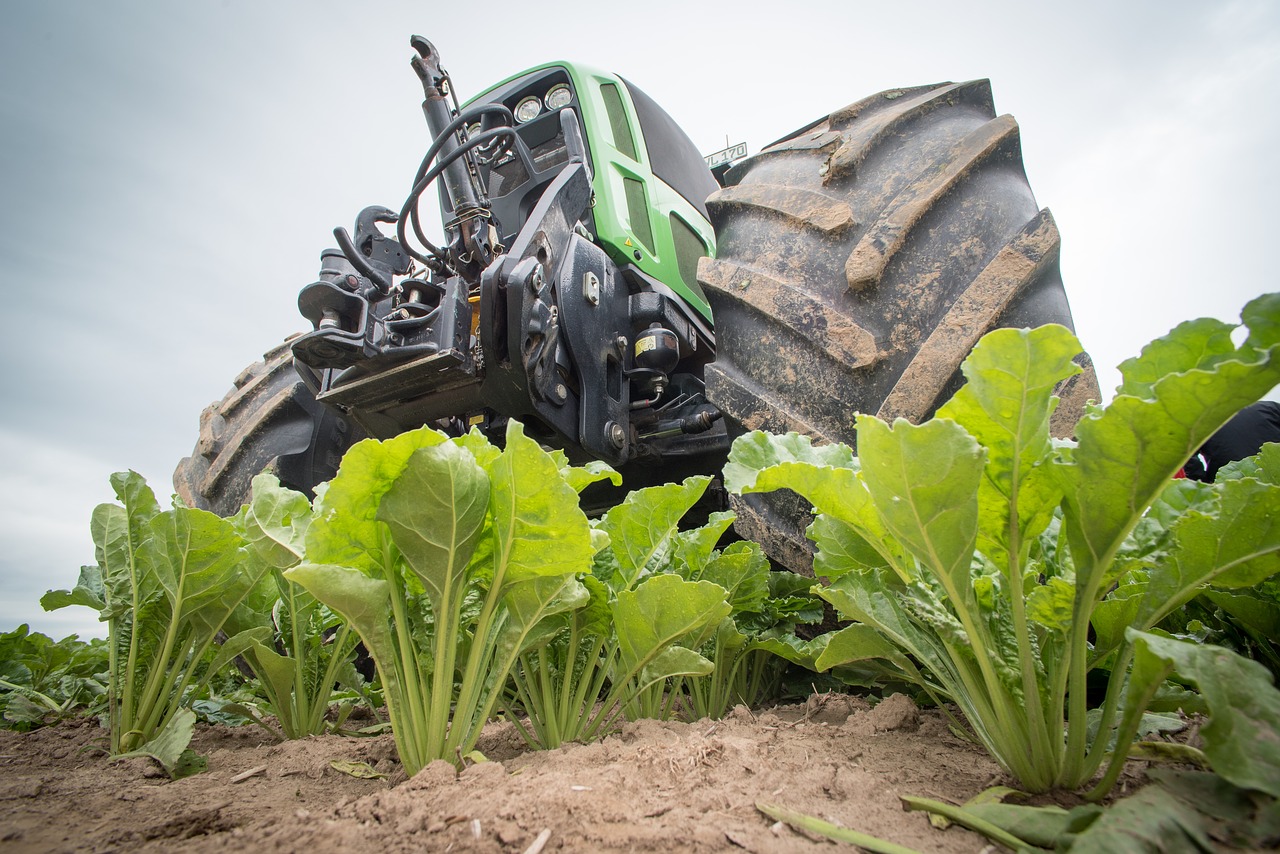 Dodatkowe 1000 zł premii za hektar dla plantatorów