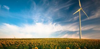 „Energia dla wsi” – dotacje do 20 mln. zł