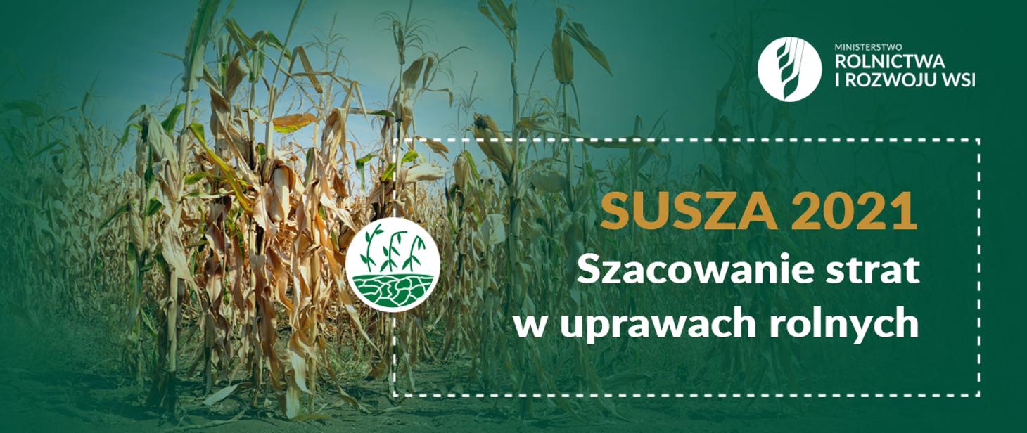 Szacowanie strat w uprawach rolnych spowodowanych wystąpieniem suszy w 2021 r.