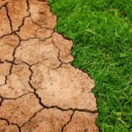 Problemów z poprawnym działaniem aplikacji suszowej ciąg dalszy…