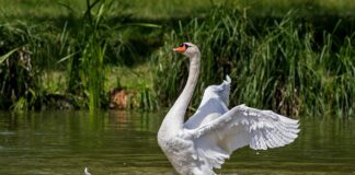 Będą uproszczenia w budowie stawów do retencjonowania wody