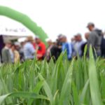 Syngenta zaprasza na POLA KLASY S