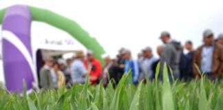 Syngenta zaprasza na POLA KLASY S