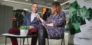 Jaką odmianę kukurydzy wybrać, by uzyskać dobry plon mimo suszy? Wywiad