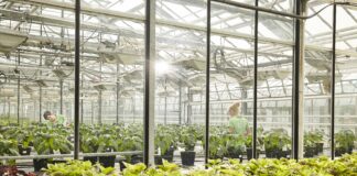 Agrochem Puławy wyłącznym dystrybutorem produktów Compo Expert w Polsce