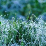 Pogodowa karuzela: najpierw wiosenne temperatury, potem śnieg