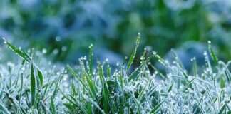 Pogodowa karuzela: najpierw wiosenne temperatury, potem śnieg