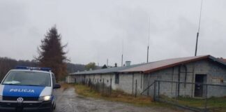Śmierć w kurniku