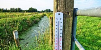 IMGW opublikował prognozę aż do lipca. Jaka będzie wiosna i początek lata?