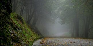 Zobacz jak zmieni się pogoda w najbliższych dniach. Deszcz, wiatr i mróz!