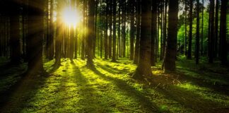 KRIR wnioskuje o rewizję obszarów NATURA 2000
