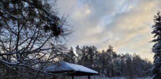 Synoptyczna prognoza pogody na weekend 12-14.01.2024 r.