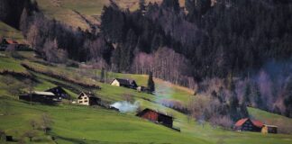 „Czyste Powietrze” – wycofanie dotacji na kotły węglowe i podwyższenie progów dochodowych