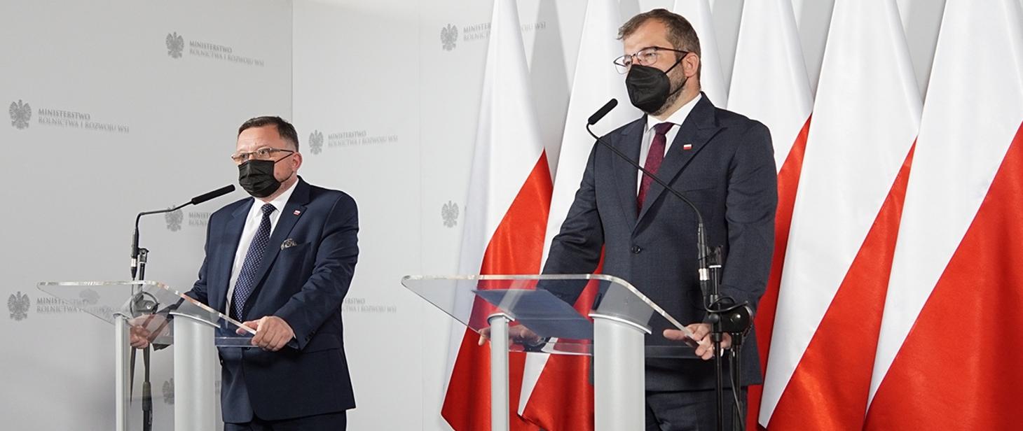 Program odbudowy gospodarstw, które ucierpiały wskutek ASF to plan na przyszłość