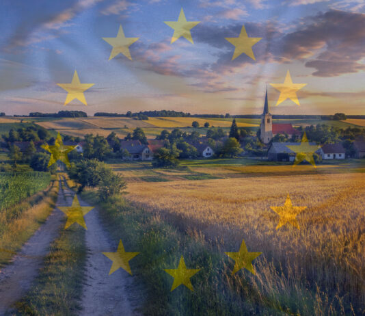 Miliony gospodarstw zniknęły z mapy Europy. Kto naprawdę zgarnia najwięcej z WPR?