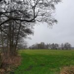 Marcowe prace w ogrodzie, pasiece, zagrodzie i lesie