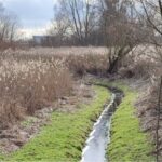 Rolnicy walczą z suszą, a woda odpływa rowami. System do pilnej zmiany
