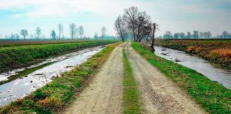 Naukowcy pracują nad lepszym zabezpieczeniem wód gruntowych