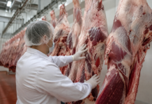 Brazylia wypada z unijnej listy. Od września zakaz importu niektórych produktów