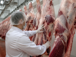 Brazylia wypada z unijnej listy. Od września zakaz importu niektórych produktów