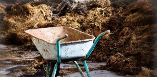 Obornik – nowe zasady przechowywania od nowego roku