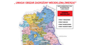 Wścieklizna na Lubelszczyźnie. Obowiązek szczepienia kotów w gospodarstwach