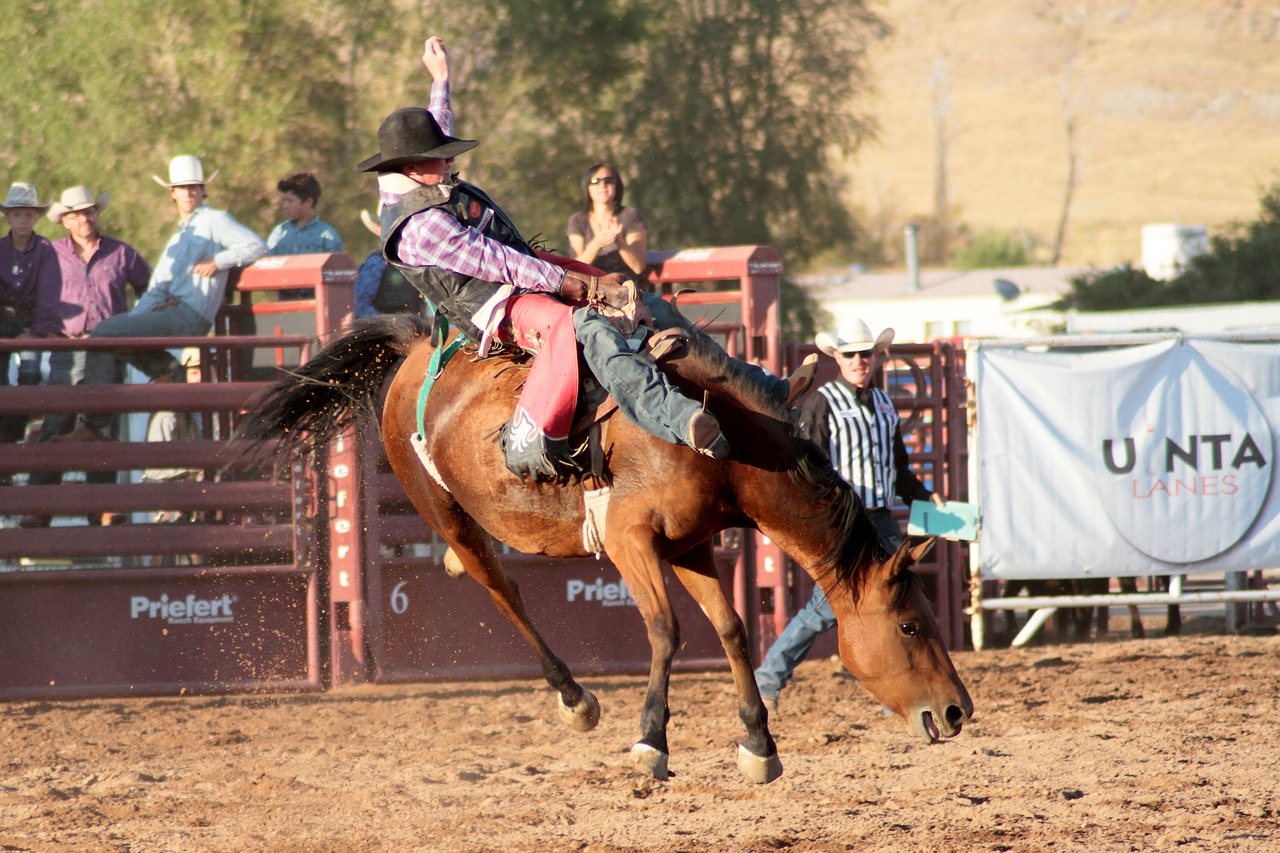 Amerykańskie Rodeo