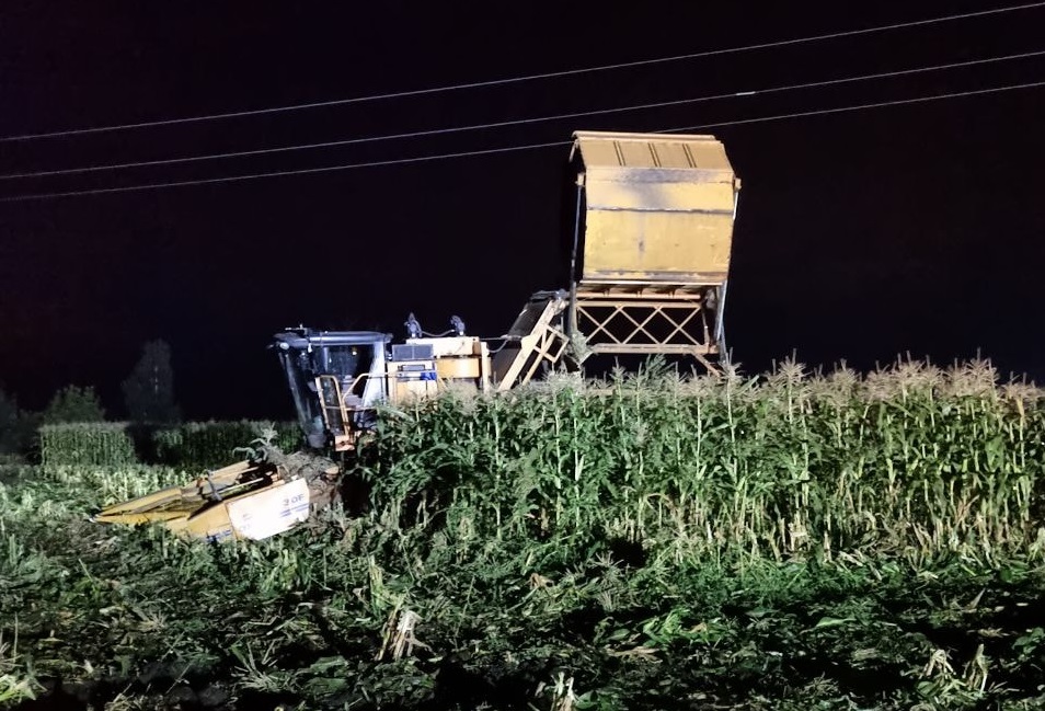 Operator kombajnu do zbioru kukurydzy zginął porażony prądem